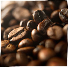 coffee beans