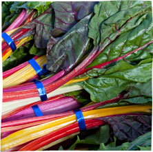 rainbow chard
