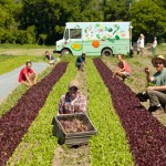 Arethusa_Farm-1