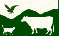 gmad_logo