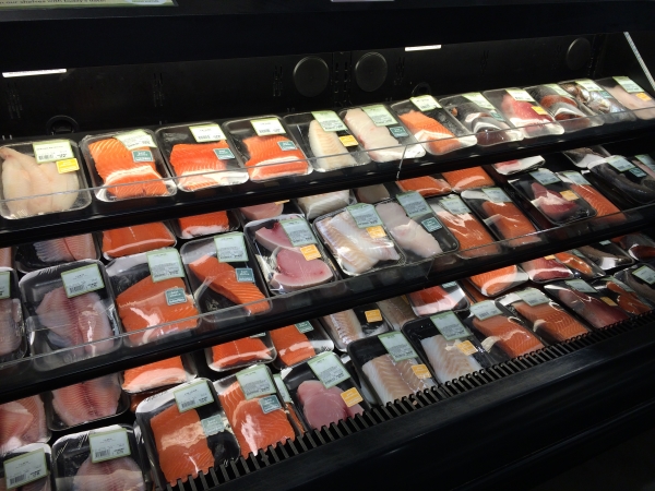 fishcase1