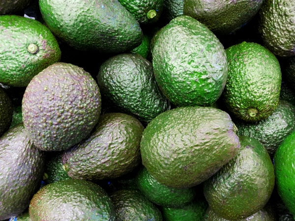 avocados.jpg